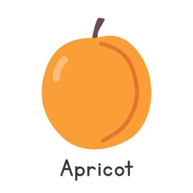 Kayısı düz vektör çizimi. Turuncu kayısı ya da Ermeni erik eriği çizgi film klibi tarzı. Abricot, Albaricoque, Khubani veya Prunus Armeniaca olarak da bilinir. Genel meyve ve taş meyve kavramı