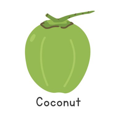 Hindistan cevizi düz vektör çizimi. Beyaz arkaplanda yeşil hindistan cevizi çizgi film tarzı izole edilmiş. Genel meyve ve taş meyve kavramı