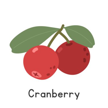 Kızılcık yassı vektör çizimi. Kırmızı yaban mersini çizgi film tarzı beyaz arka planda izole edilmiş. Ayrıca Aşı Subgonometrisi olarak da bilinir. Oxycoccus, yabanmersini ya da ayı çileği. Çilek konsepti