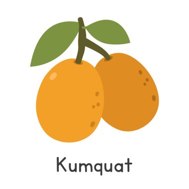 Kumquat düz vektör çizimi. Kumquat çizgi film klip biçimi beyaz arkaplanda izole edilmiştir. Citrus meyve konsepti