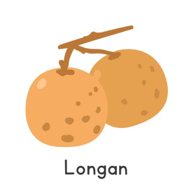 Longan düz vektör çizimi. Longan ya da Dragon 's Eye karikatür tarzı beyaz arka planda izole edilmiş. Tropikal ve egzotik meyve kavramı