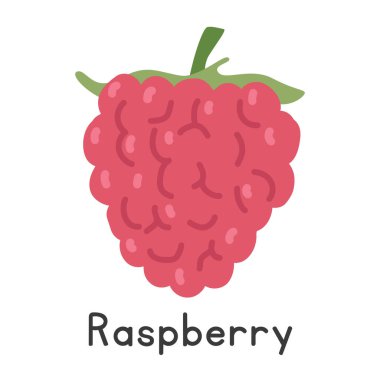 Ahududu düz vektör çizimi. Beyaz arkaplanda kırmızı ahududu karikatür tarzı izole edilmiş. Genel meyve ve böğürtlen kavramı