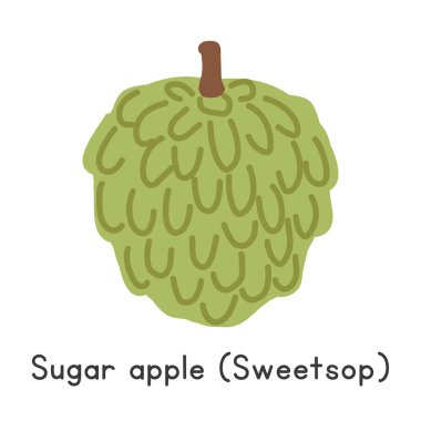 Şeker elması düz vektör çizimi. Şeker elması ya da Sweetsop çizgi film klibi tarzı beyaz arka planda izole edilmiş. Tropikal ve egzotik meyve kavramı