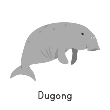 Dugong vektör çizimi. Şirin deniz ineği ya da deniz ineği çizgi filmi klipsi. Düz stil bir hayvan. Deniz hayvanları, sualtı yaratıkları, okyanus hayvanları, deniz yaşamı konsepti. Dugong vektör tasarımı beyazda izole edildi