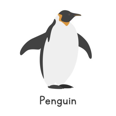 Penguen vektör çizimi. Şirin imparator penguen ya da kral penguen karikatürü. Düz stili olan bir hayvan. Deniz hayvanları, sualtı yaratıkları, okyanus hayvanları, deniz yaşamı konsepti. Penguen vektör tasarımı