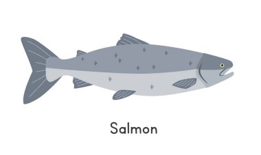 Somon vektör çizimi. Somon balığı çizgi filmi klipsi, düz stil bir hayvan. Deniz hayvanları, sualtı yaratıkları, okyanus hayvanları, deniz yaşamı konsepti. Somon vektör tasarımı beyaz üzerine izole edildi