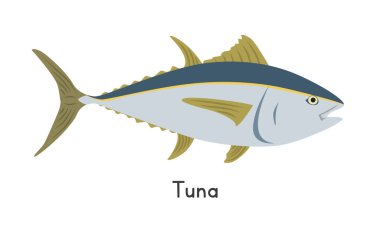 Ton balığı vektör çizimi. Ton balığı çizgi filmi klipsi. Düz stil bir hayvan. Deniz hayvanları, sualtı yaratıkları, okyanus hayvanları, deniz yaşamı konsepti. Beyaz arkaplanda izole edilmiş ton balığı vektör tasarımı