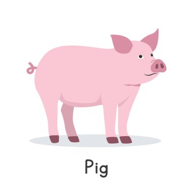 Domuz vektör çizimi. Şirin pembe domuz çizgi filmi, düz stil bir hayvan. Çiftlik hayvanları konsepti, kırsal tarım. Beyaz zemin üzerinde izole edilmiş çiftlik hayvanı domuz vektör tasarımı
