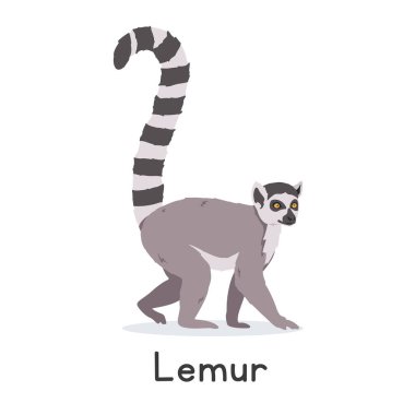Halka kuyruklu lemur vektör çizimi, çizgi film karakteri, düz bir hayvan. Vahşi hayvanlar, vahşi yaratıklar, vahşi yaşam konsepti. Lemur vektör tasarımı beyaz arkaplanda izole edildi