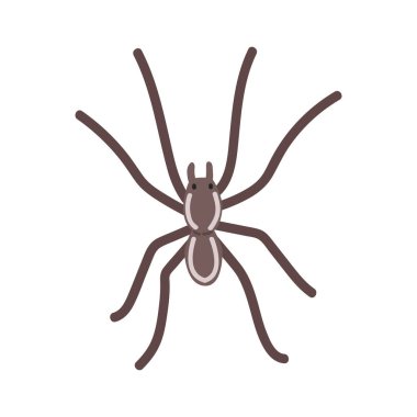 Raft Spider çizgi film klibi. Şirin su örümceği, büyük sal örümceği ya da fen sal örümceği çizimi. Düz stil bir hayvan. Beyaz arkaplanda izole böcekler ve antropodlar kavramı