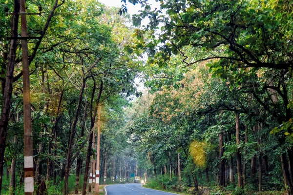 Sabah sisi ile kaplanmış tenha bir yüksek yolda şafağın yumuşak ve nazik ışığına tanık olun. Çevredeki ormanın zengin, koyu yeşili... 