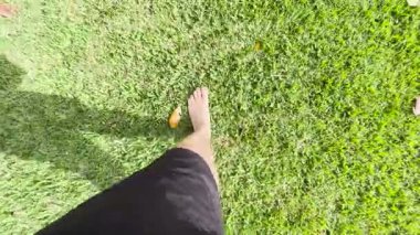 Çimenlerde yalınayak yürümek rahatlatıcı, rahatlatıcı ve rahatlatıcı..