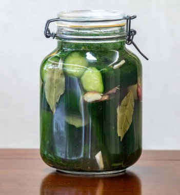 Ev yapımı mayalanmış turşu hazırlamak için taze salatalık, dereotu, sarımsak ve defne yaprakları..