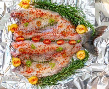 Tambaqui (Colossoma makropomum), Brezilya 'nın Amazon ve Pantanal bölgelerinden tropikal tatlı su balığı..