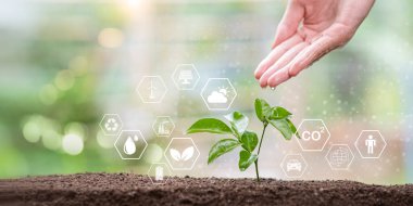 Çevresel sürdürülebilirlik dikkatli hareket, temiz enerji ve doğa koruma gerektirir. Küresel iklim farkındalığı yoluyla ekolojik sorumluluğu, karbon azaltımını ve daha yeşil bir geleceği sembolize eder..