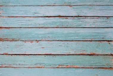 Eski bir ağacın dokusu