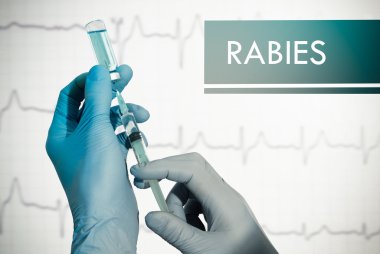 Stop rabies. Syringe is filled with injection. Syringe and vaccine clipart