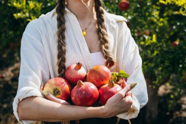 Güneşli bahçede taze nar toplayan genç bir kadın..