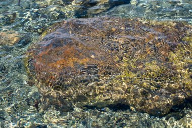 Güneşli kayalar kristal berrak suyun altında, el değmemiş bir dere yatağında..