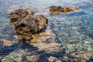 Güneşli bir sahilde kayaların üzerinden akan berrak okyanus suyu..
