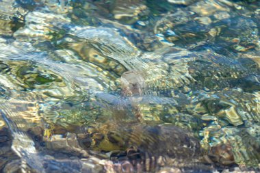 Temiz su dalgaları güneş ışığında dinamik soyut desenler oluşturuyor.