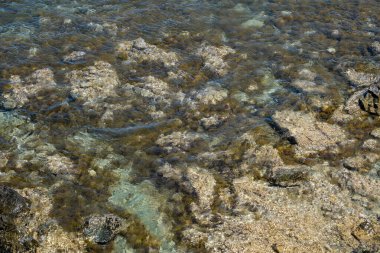 Güneşli bir günde kayalar ve ince dalgalarla temiz kıyı suları.