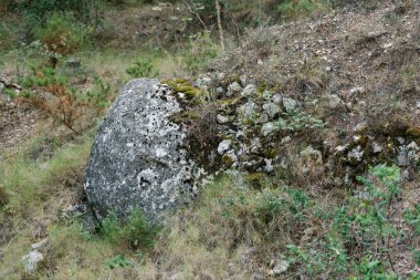 Çimenlerle kaplı orman arazisinde yosun ve liken yetişen yıpranmış kayalar..