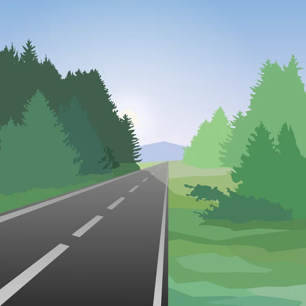 Route d'été et forêt — Image vectorielle
