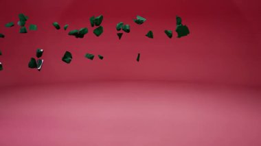 Bayrak Canlandırmalı Pakistan Haritası.