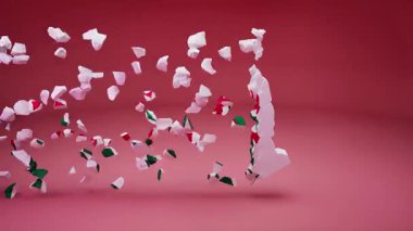 Bayrak Canlandırmalı Cezayir Haritası.