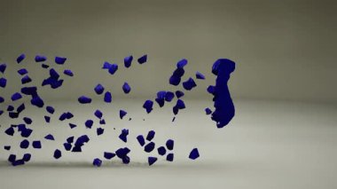 Bayrak Canlandırmalı Bonaire Haritası.