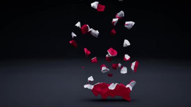 Bayrak Canlandırmalı Polonya Haritası.