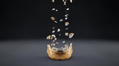 İnsan kafatası 3d animasyonu .