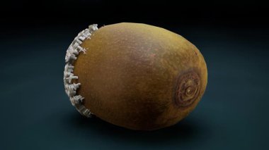 Kivi Mantar Büyüme Canlandırmasından Etkilenir.