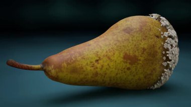 Mantar Gelişimi Animasyonundan etkilenen Armut.