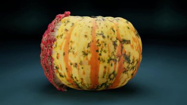 Mantar Gelişimi Canlandırmasından Etkilenen Balkabağı.