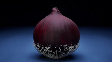 Mantar Büyümesinden Etkilenen Soğan Canlandırması.