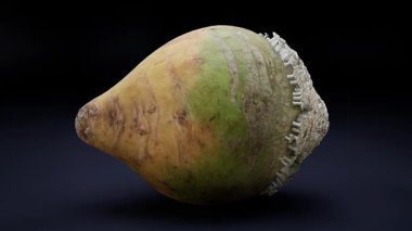 Mantar Gelişimi Animasyonundan etkilenen Şalgam.