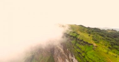 egzotik görünümü dağ ve orman