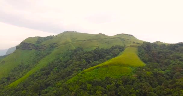 Aerial shot of forest and mountain — Stock Video