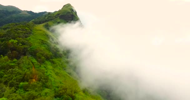 Niebla montaña y bosque — Vídeos de Stock