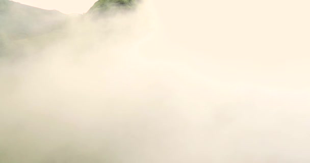 Belleza de la naturaleza en las montañas del bosque con niebla o niebla — Vídeos de Stock