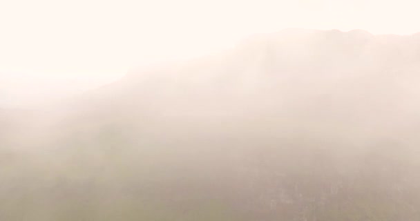 Zwiedzanie lasu formie mgły lub mgła — Wideo stockowe