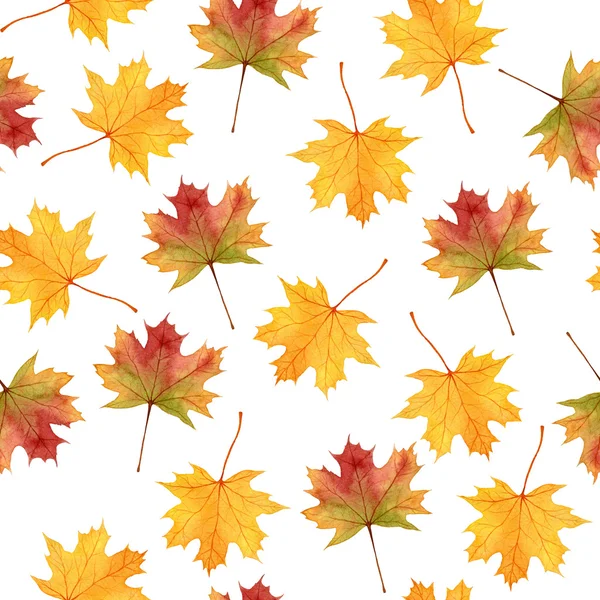 Patrón sin costuras de hojas de otoño, elementos dibujados a mano de acuarela, ilustraciones para textiles —  Fotos de Stock