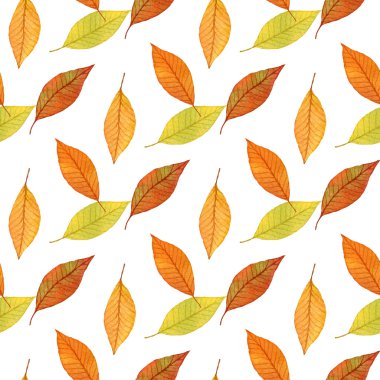 Seamless modeli sonbahar yaprakları, suluboya elle çizilmiş arka plan