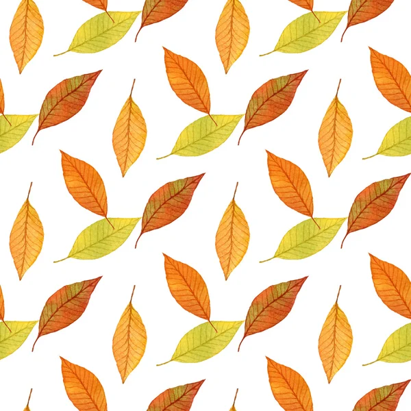 Patrón sin costuras de hojas de otoño, acuarela dibujado a mano fondo —  Fotos de Stock