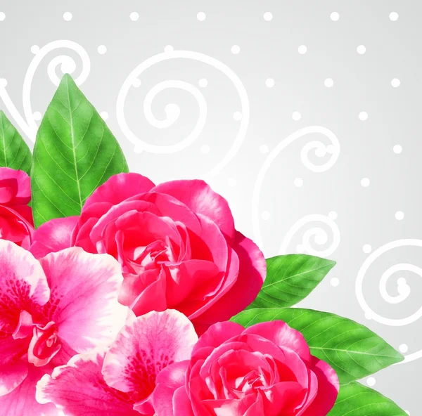 Nagyon szép virágok összetétele Rózsa — Stock Fotó