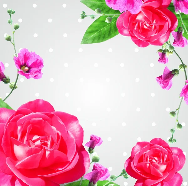 Πολύ όμορφα λουλούδια πλαισίων σύνθεση τριαντάφυλλο — Φωτογραφία Αρχείου
