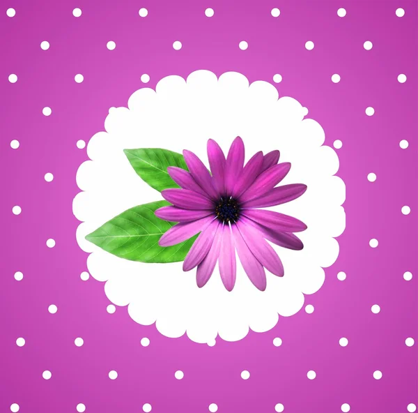 아름 다운 꽃 조성 환 카드 — 스톡 사진