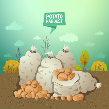 Sonbahar arka plan üzerinde patates çuvalları